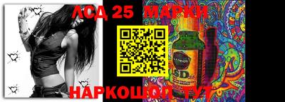 гидра Будённовск