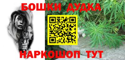 гидра Будённовск