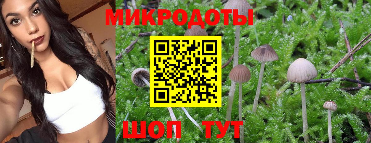 Галлюциногенные грибы Magic Shrooms Нальчик