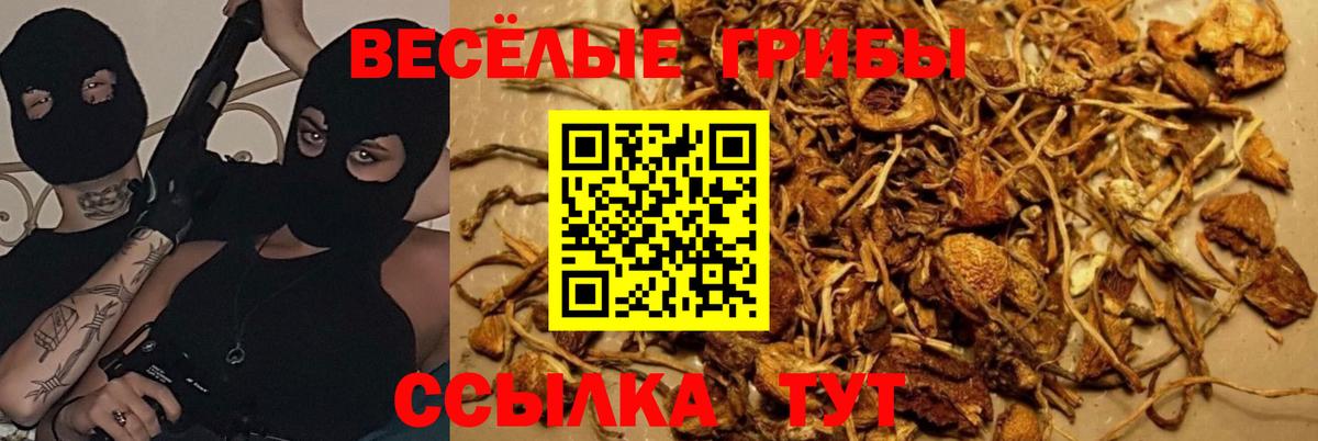 Нальчик  Псилоцибиновые грибы GOLDEN TEACHER  Галлюциногенные грибы мухоморы  Вход с VPN 
